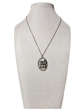 5/$25 😻 Silver Owl Pendant Necklace - Women Jewelry